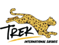 Trek International Safaris logo
