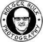 Holger Bulk logo