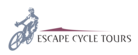 Primaluce Tours and Safaris logo