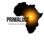 Primaluce Tours and Safaris logo