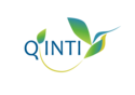 Qinti logo