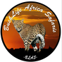 Bush Life Africa Safaris  logo