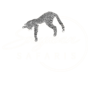 Snyman Safaris logo