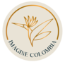 IMAGINE COLOMBIA DMC SAS logo