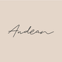 Andean logo