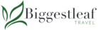 Biggestleaf Travel logo