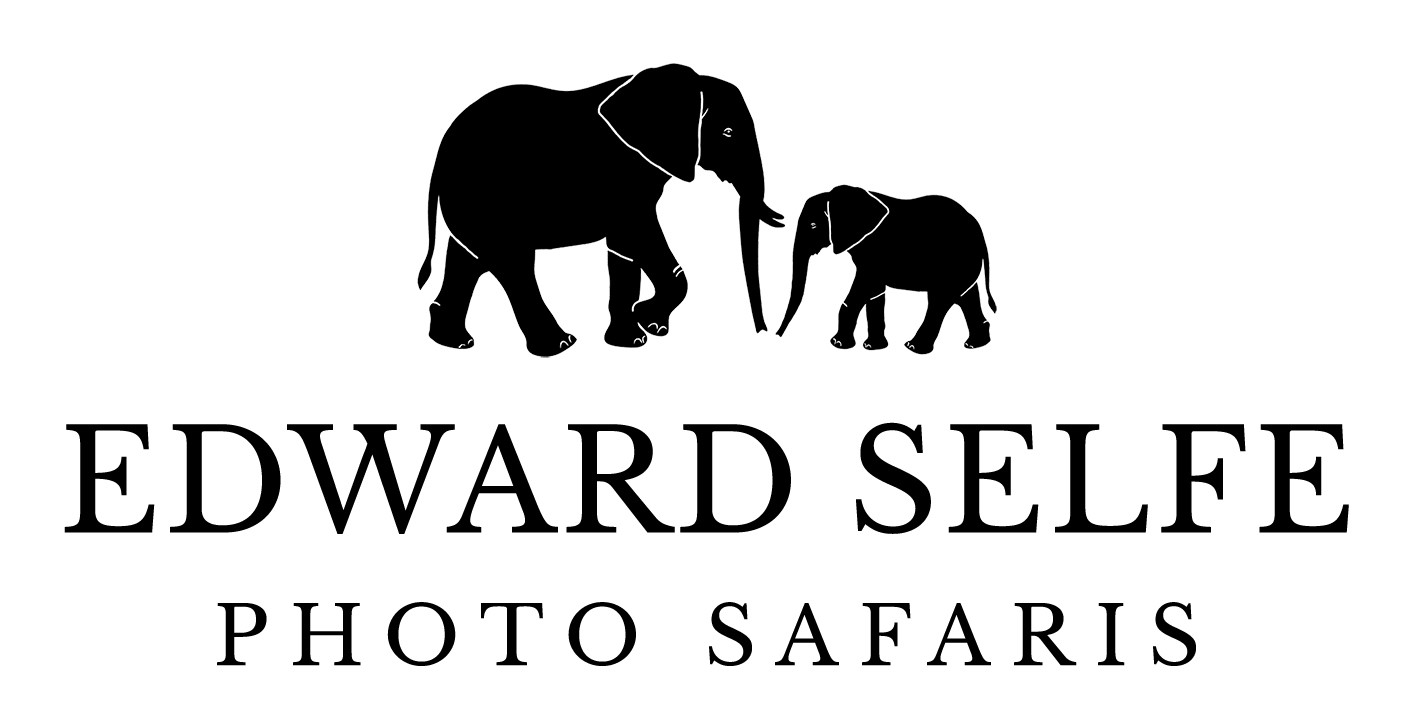 Edward Selfe  logo