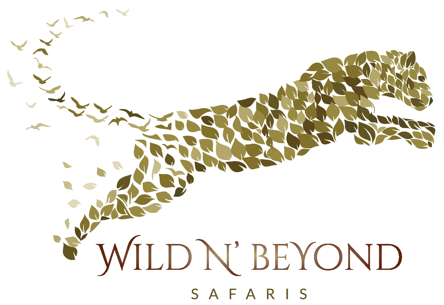 Wild N' Beyond Zambia Ltd logo