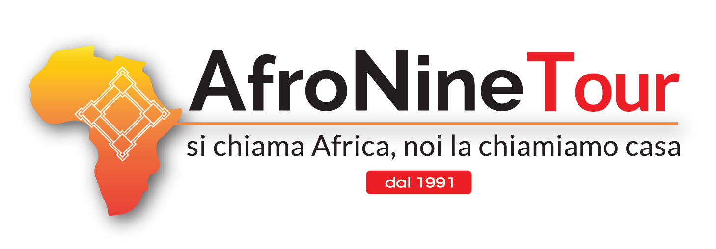AfroNine Tour logo