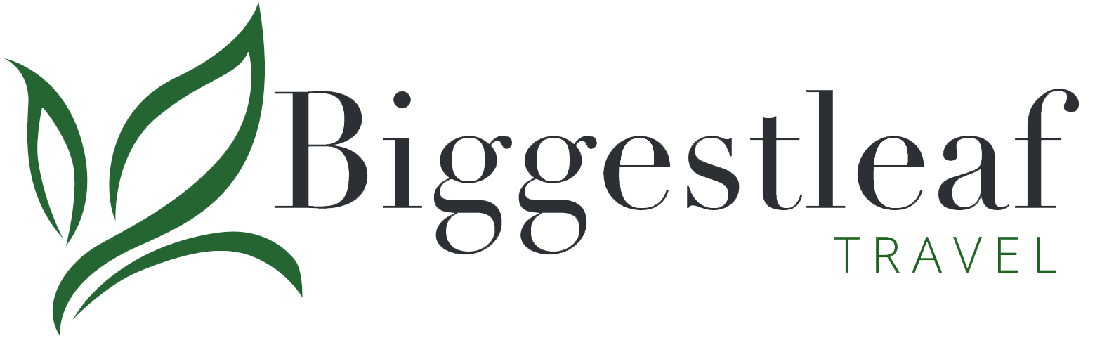 Biggestleaf Travel logo