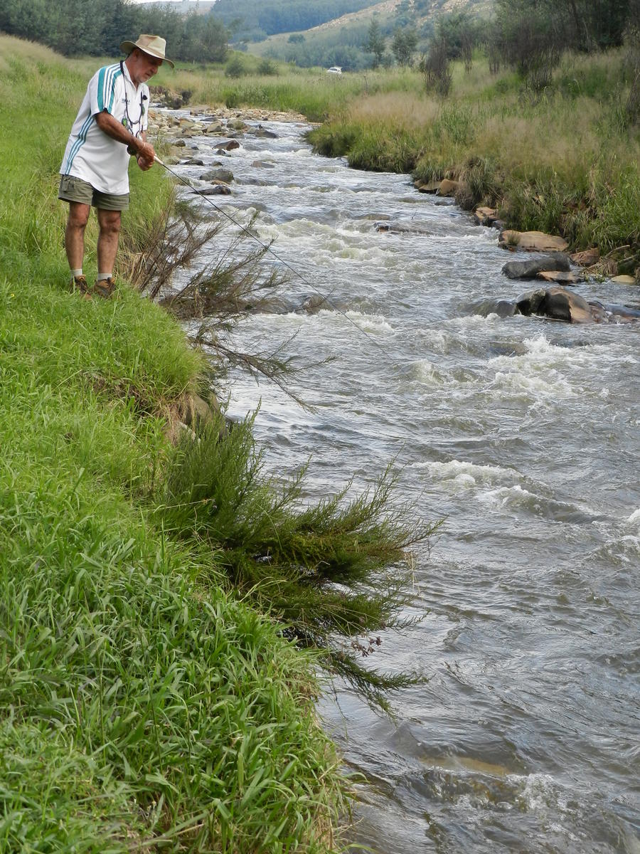 Field and Stream