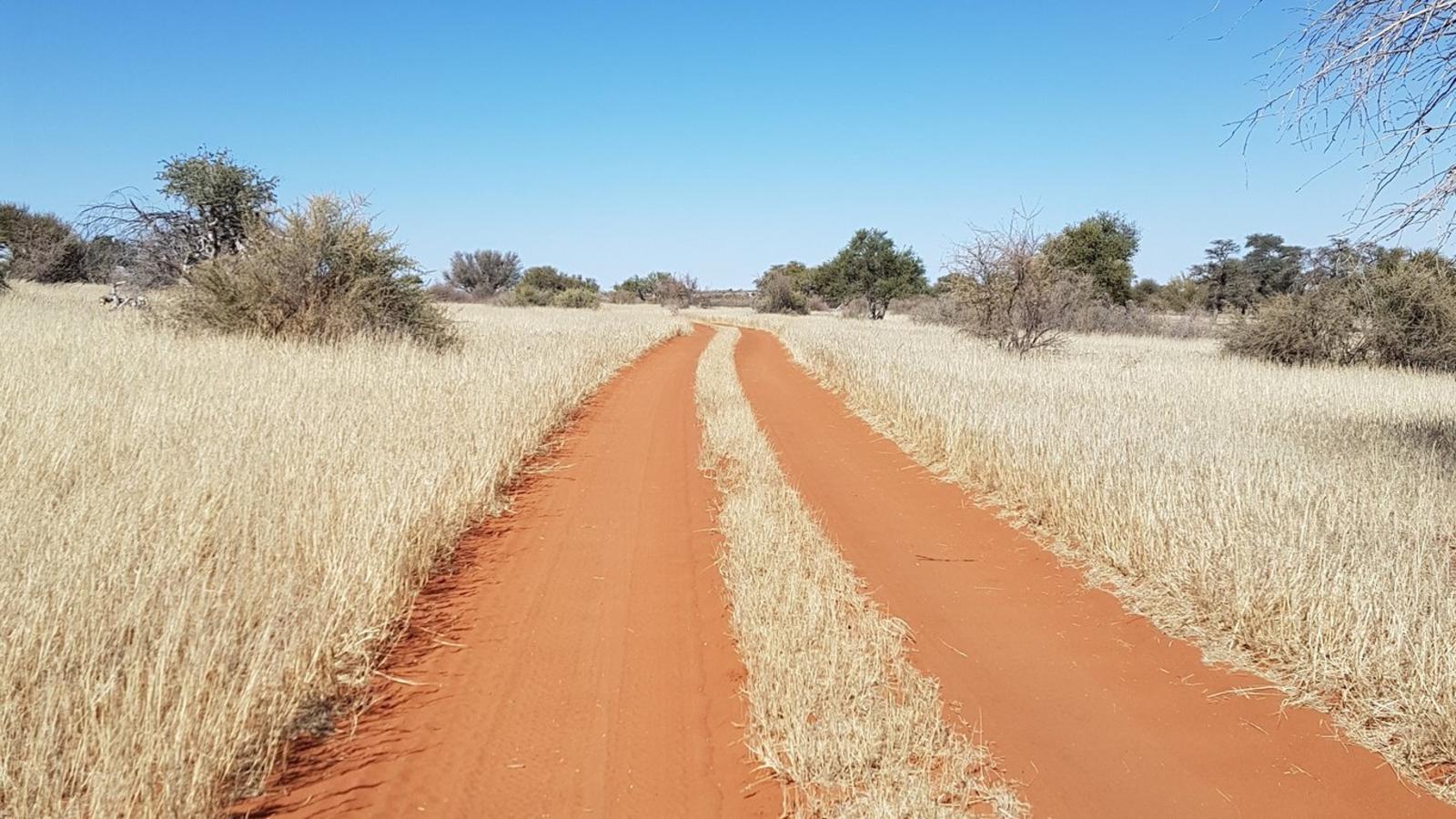 Jansen Kalahari Guest Farm