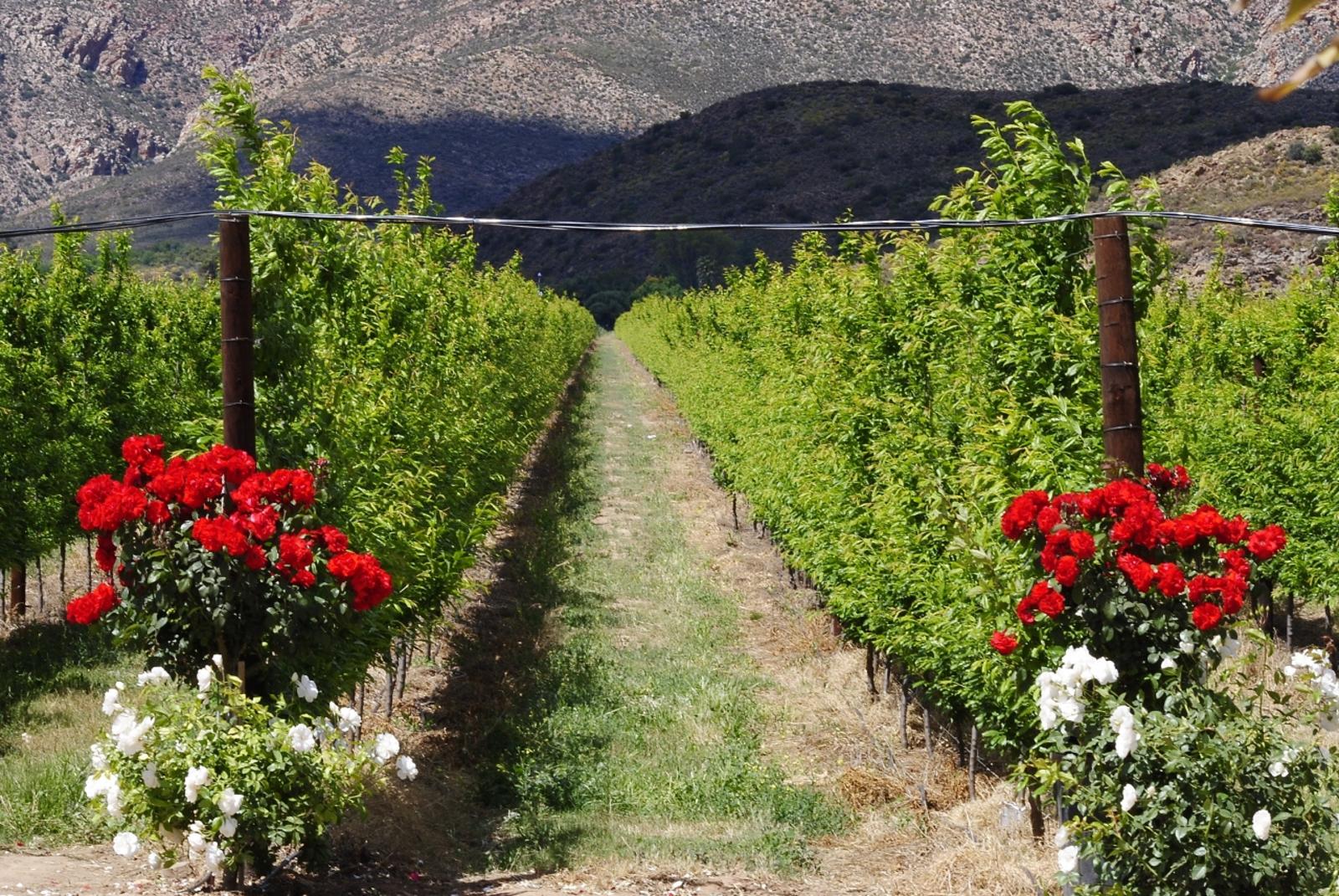 Bon Accord Farm Cottages Special Deals and Offers Book Now!