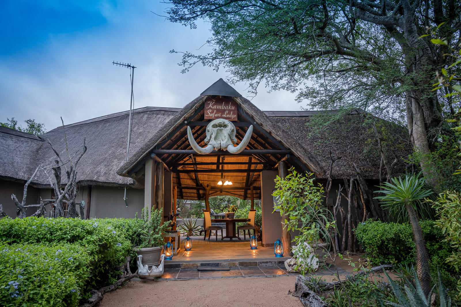 kambaku safari lodge vacancies