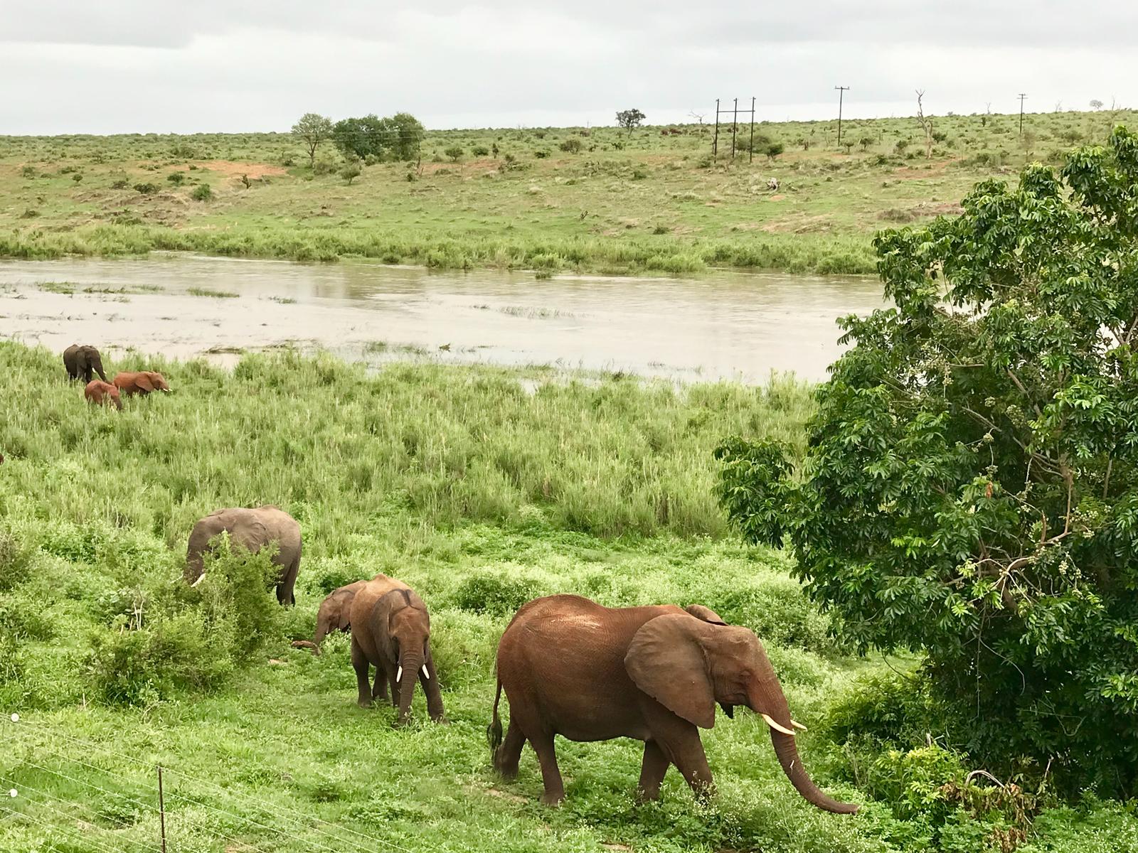 Elephant Walk Retreat