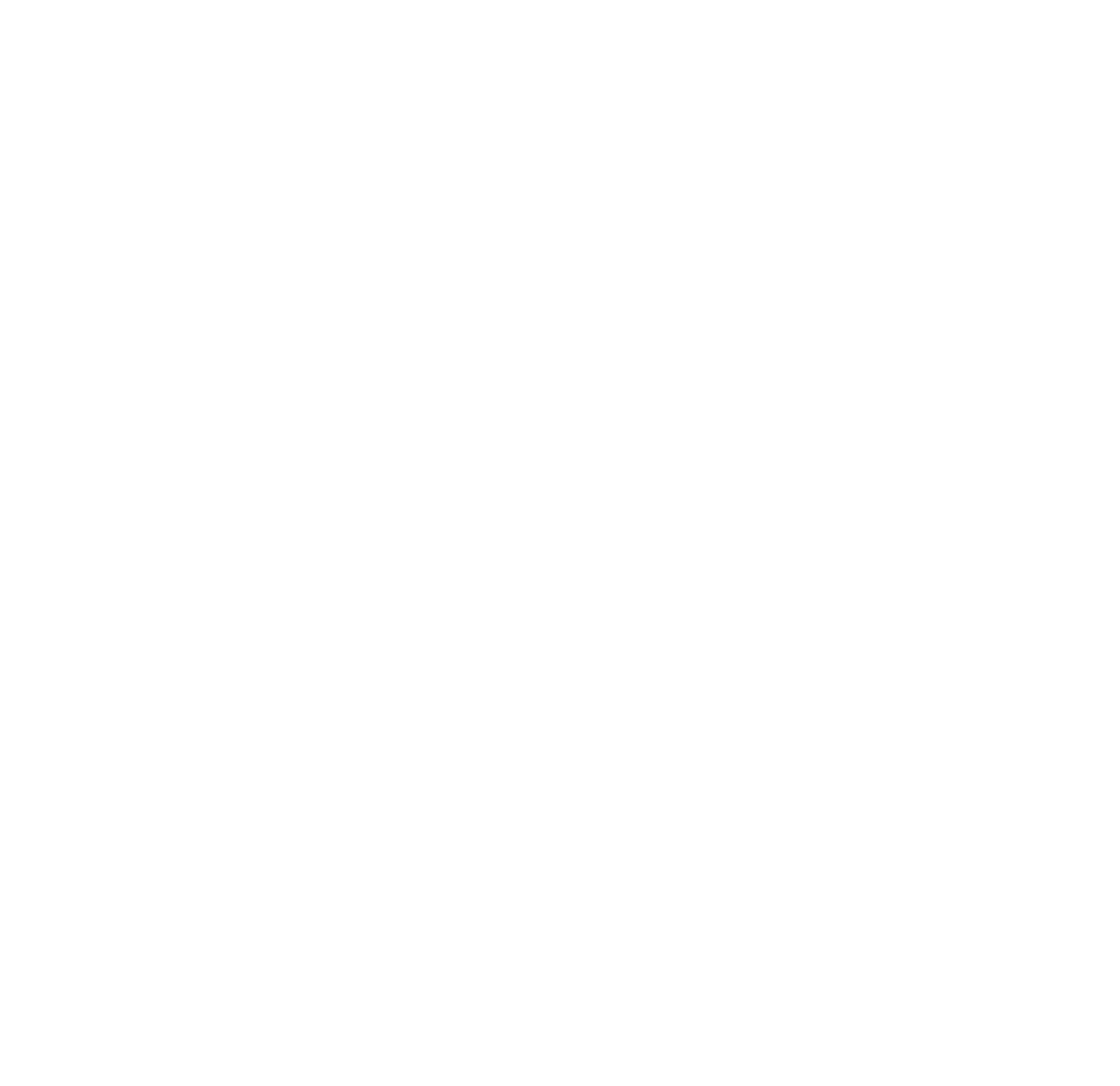 Seolo Africa logo