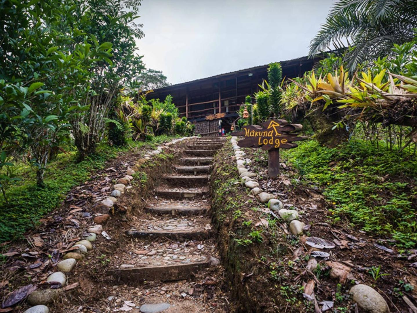 Hakuna Matata Amazon Lodge - Supreme