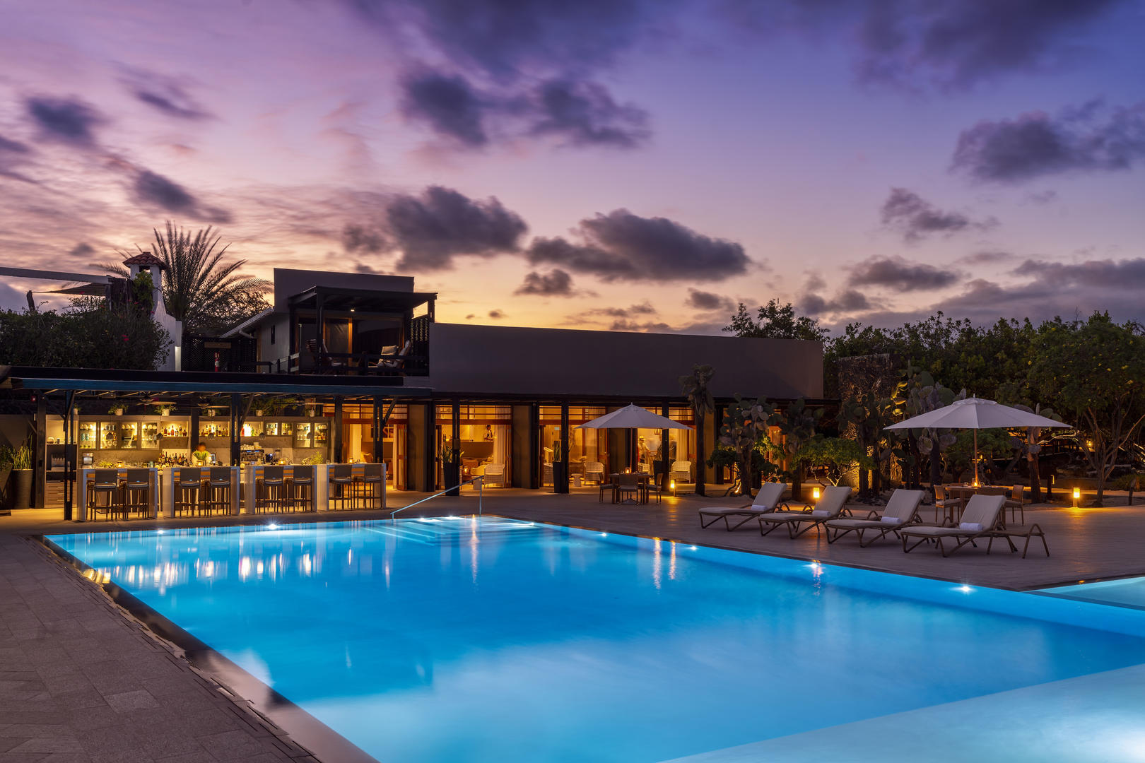 Finch Bay Galapagos Hotel - Suite