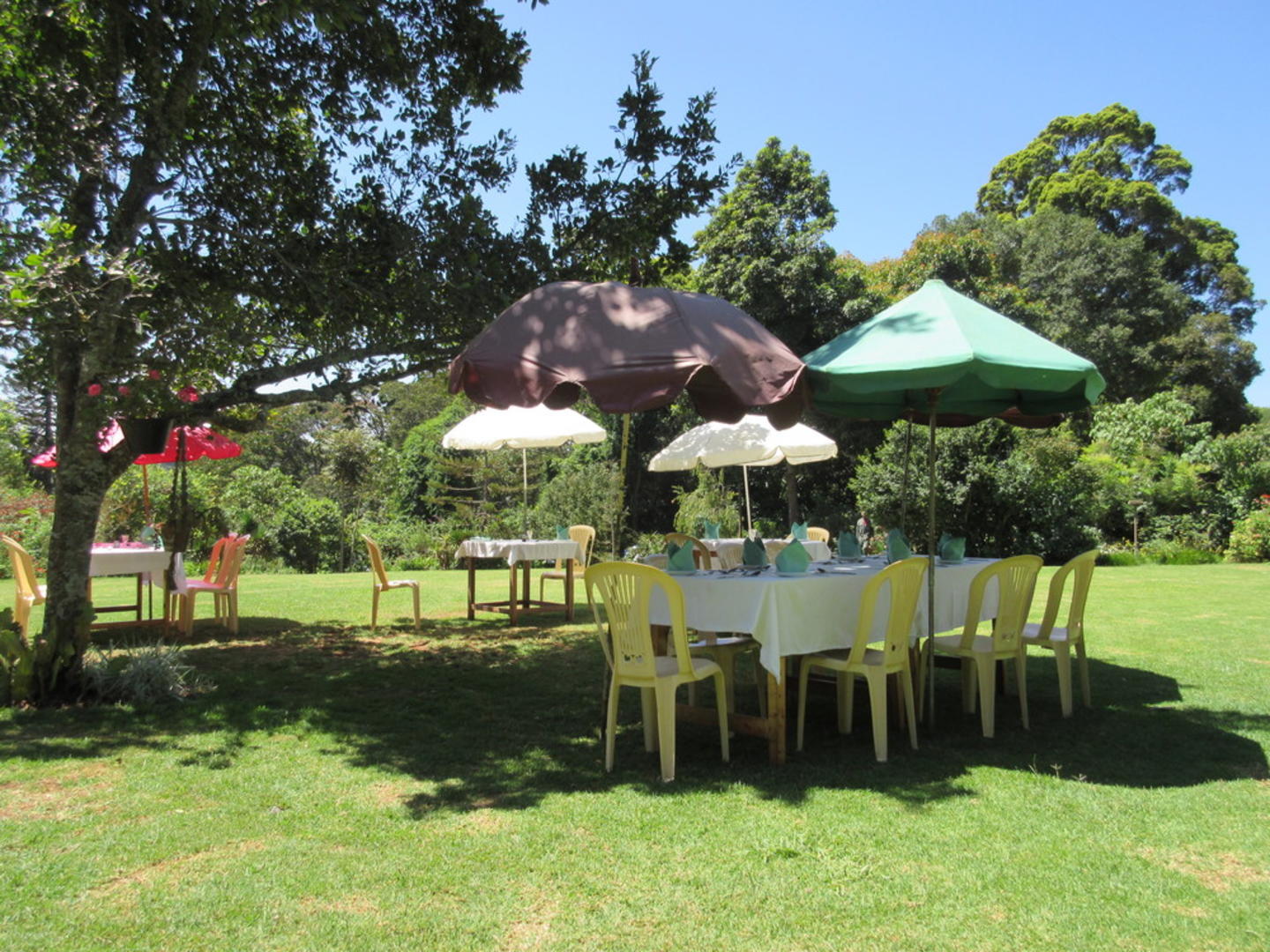 Kiambethu teupplevelse