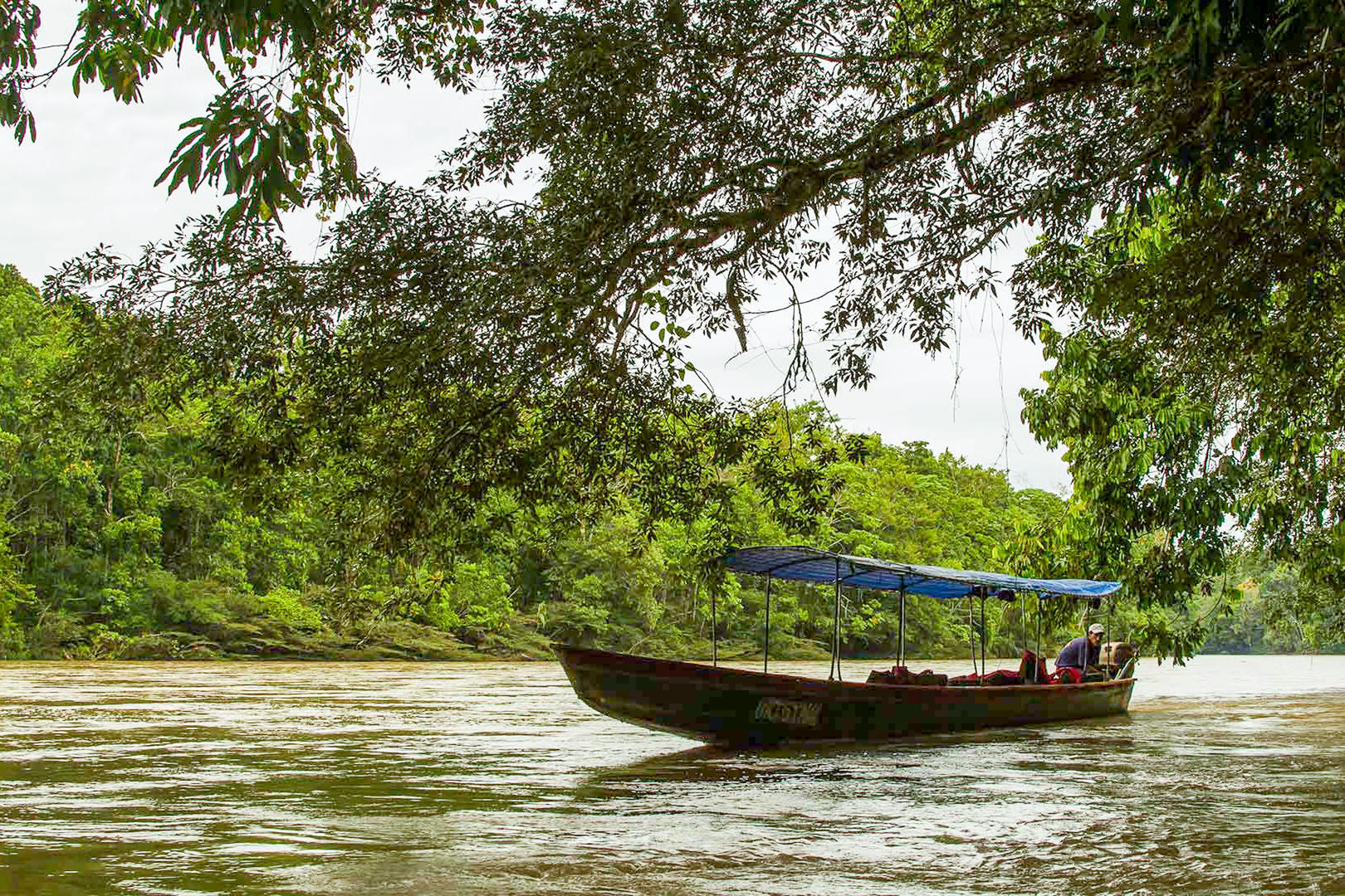 Flodkryssning Amazonas 7 nätter