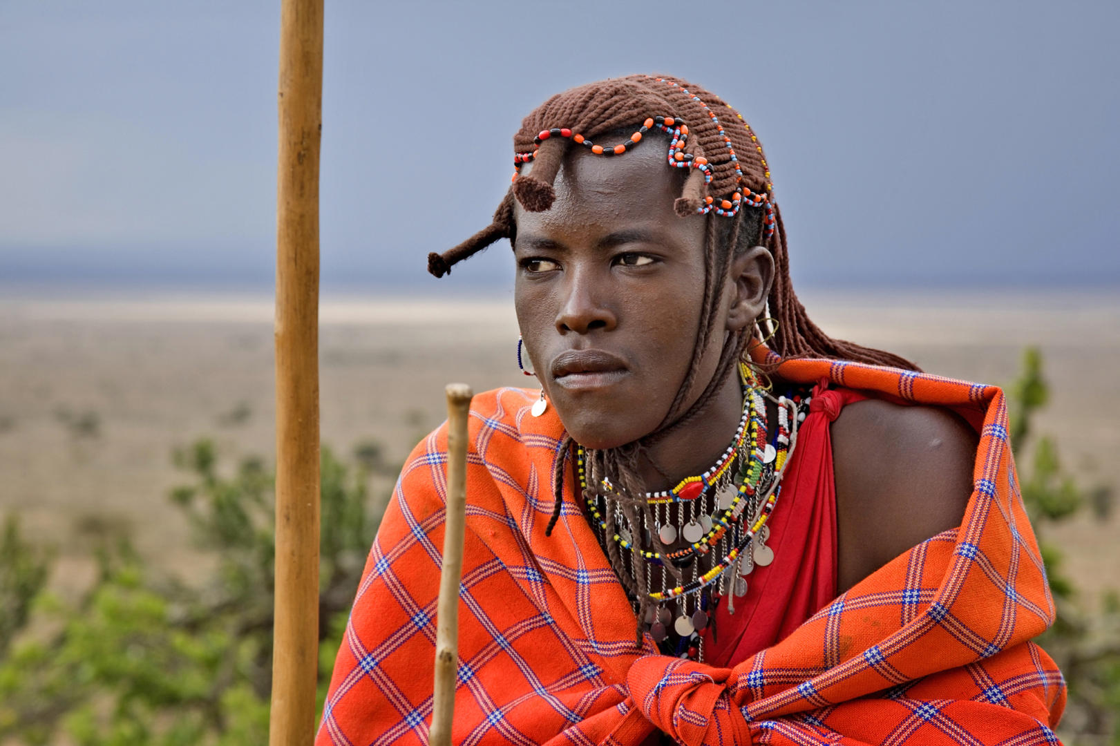 Klassiska Kenya (Keekorok)