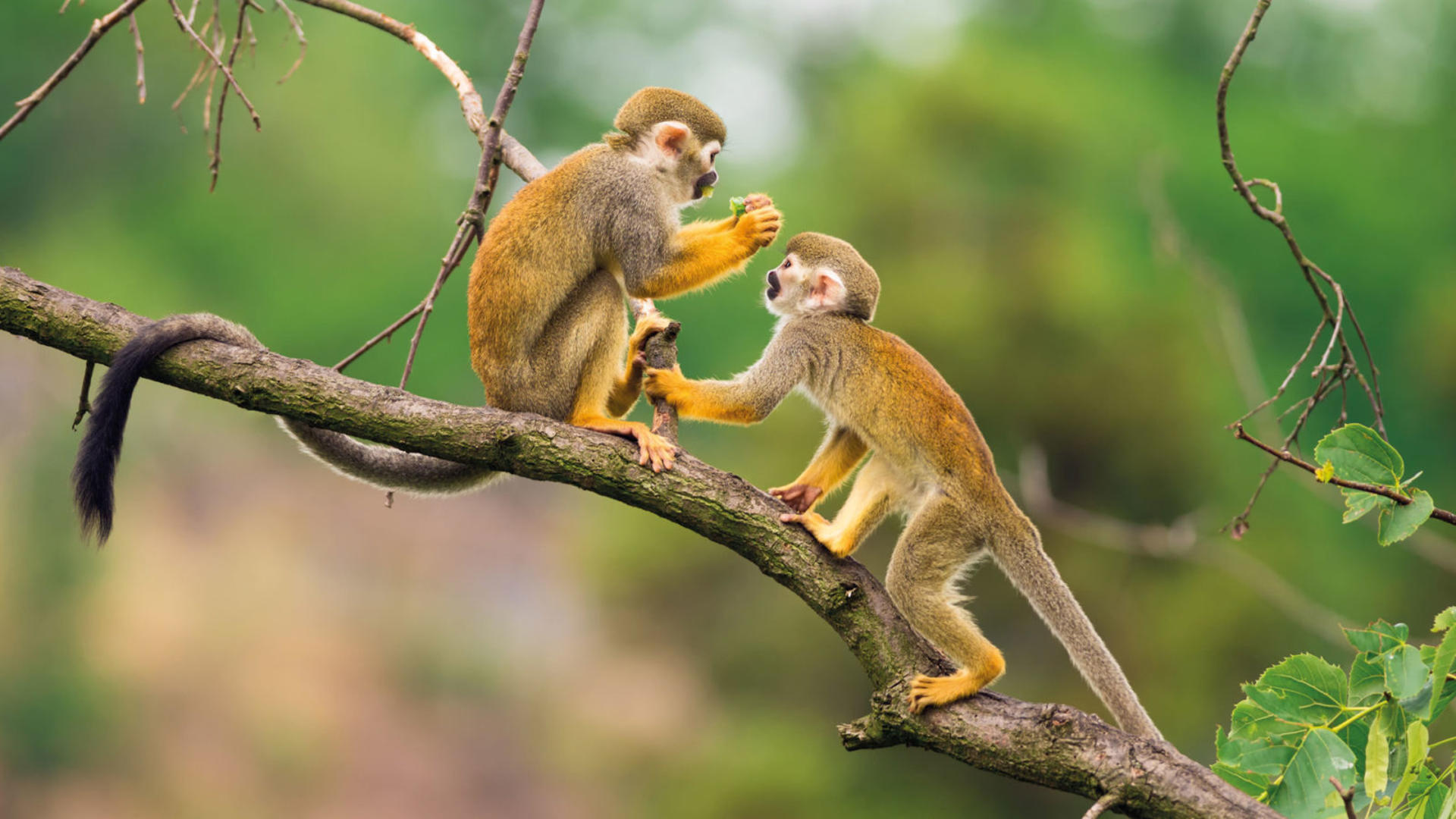 Inkaterra Hacienda Concepcion - 4D3N  - Standard Room
