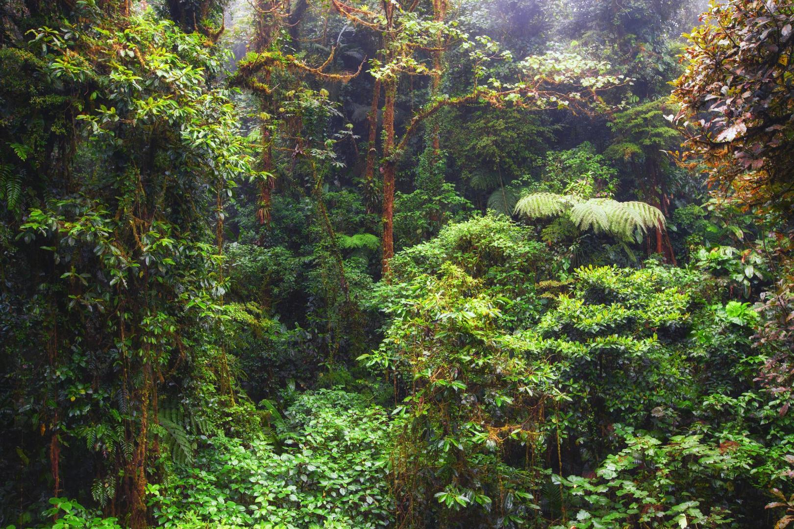 Costa Rica med hyrbil