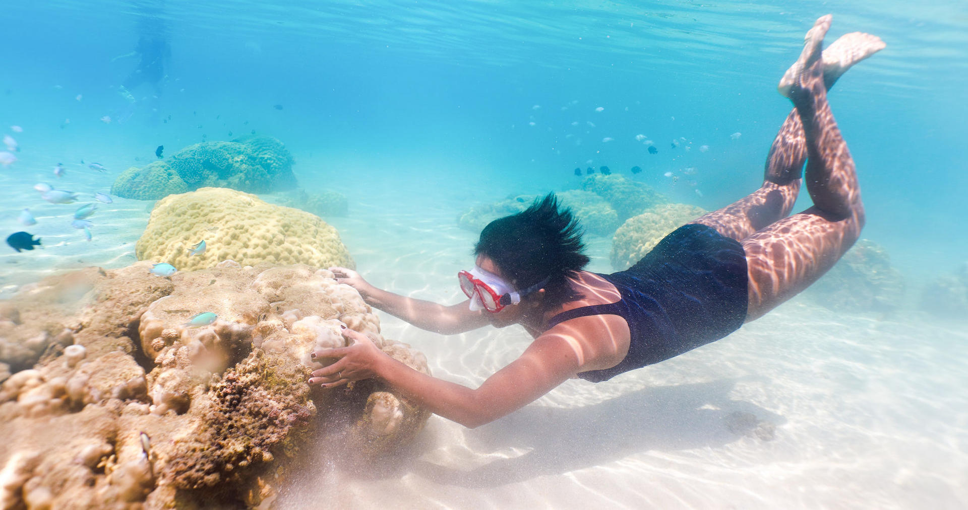 Nosy Tanikely med snorkling