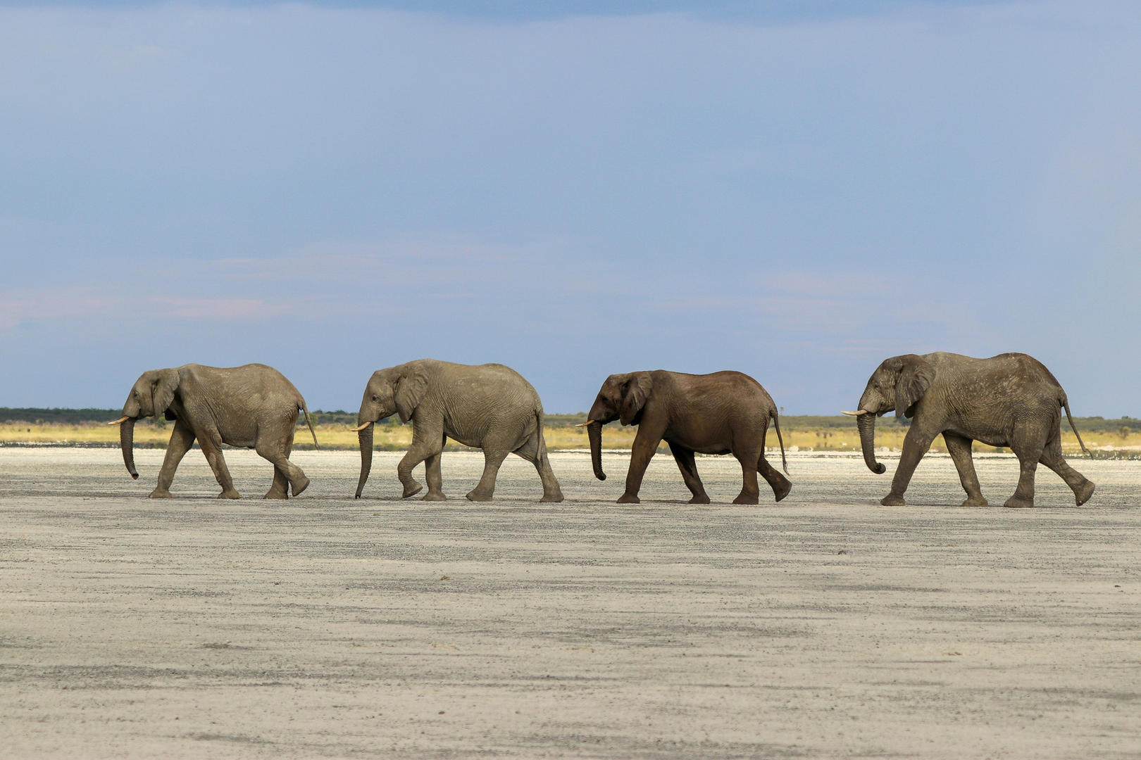 Klassiska Botswana camping