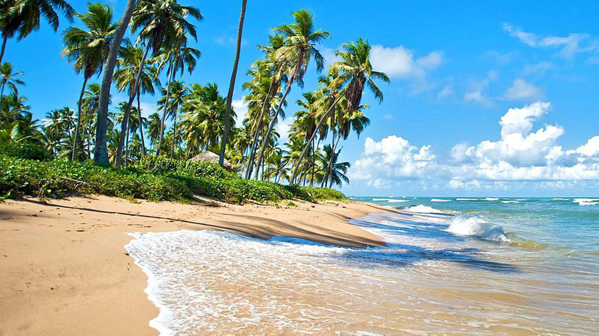 Fantastiska Bahía - Superior