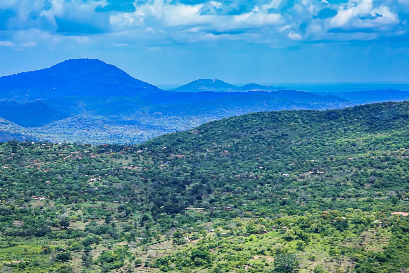 Shimba Hills & Ngutuni safari