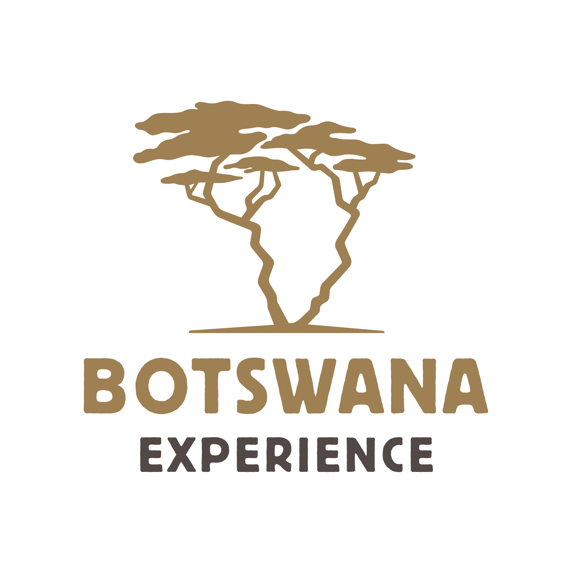 Botswana-Experience logo