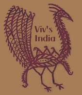 Viv Craig logo