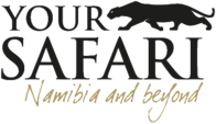 Your Safari logo