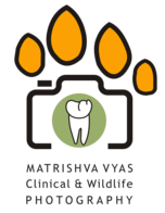 Matrishva Vyas Clinical & Wildlife Photography logo