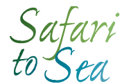 Safari To Sea logo