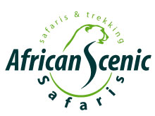 African Scenic Safaris logo