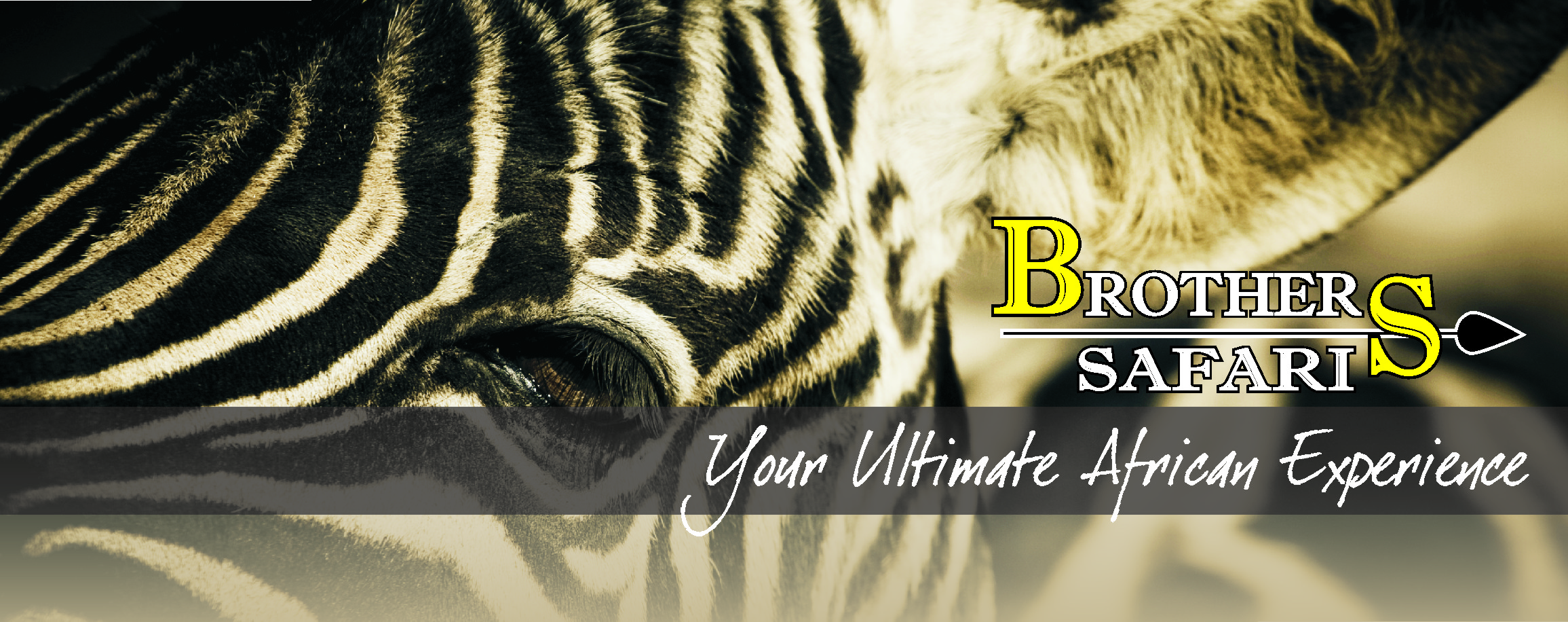 Brothers Safaris logo