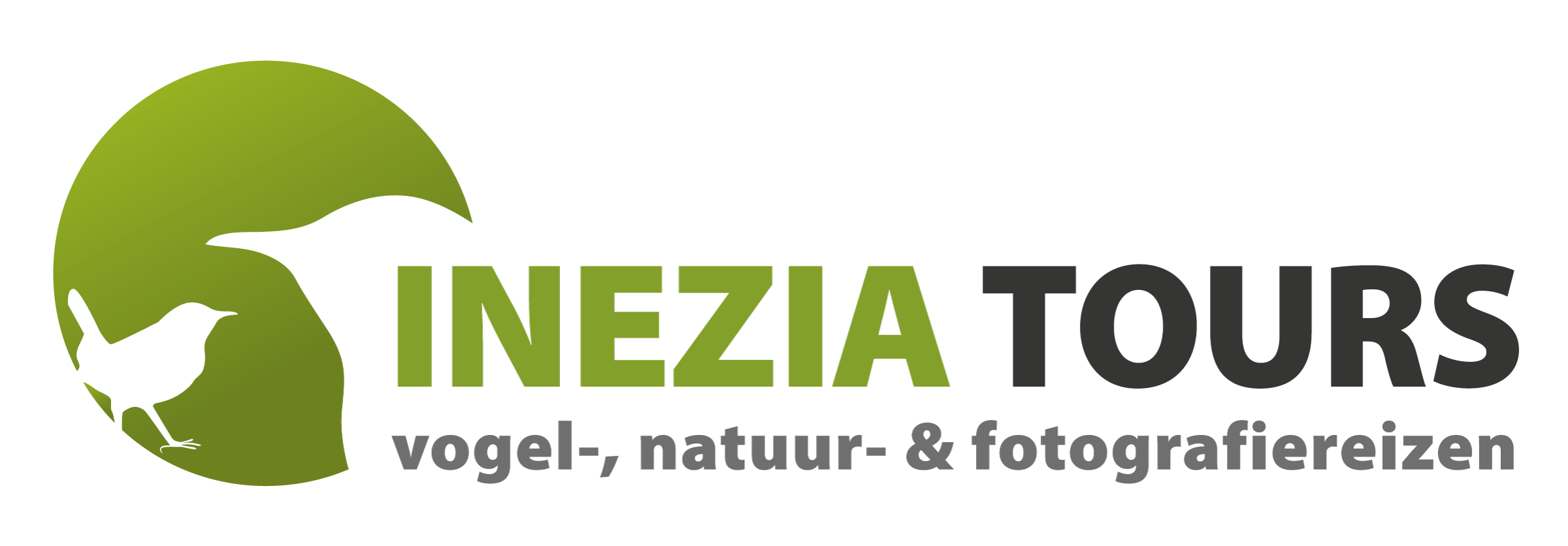 Inezia Tours logo