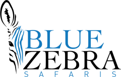 Blue Zebra Safaris logo