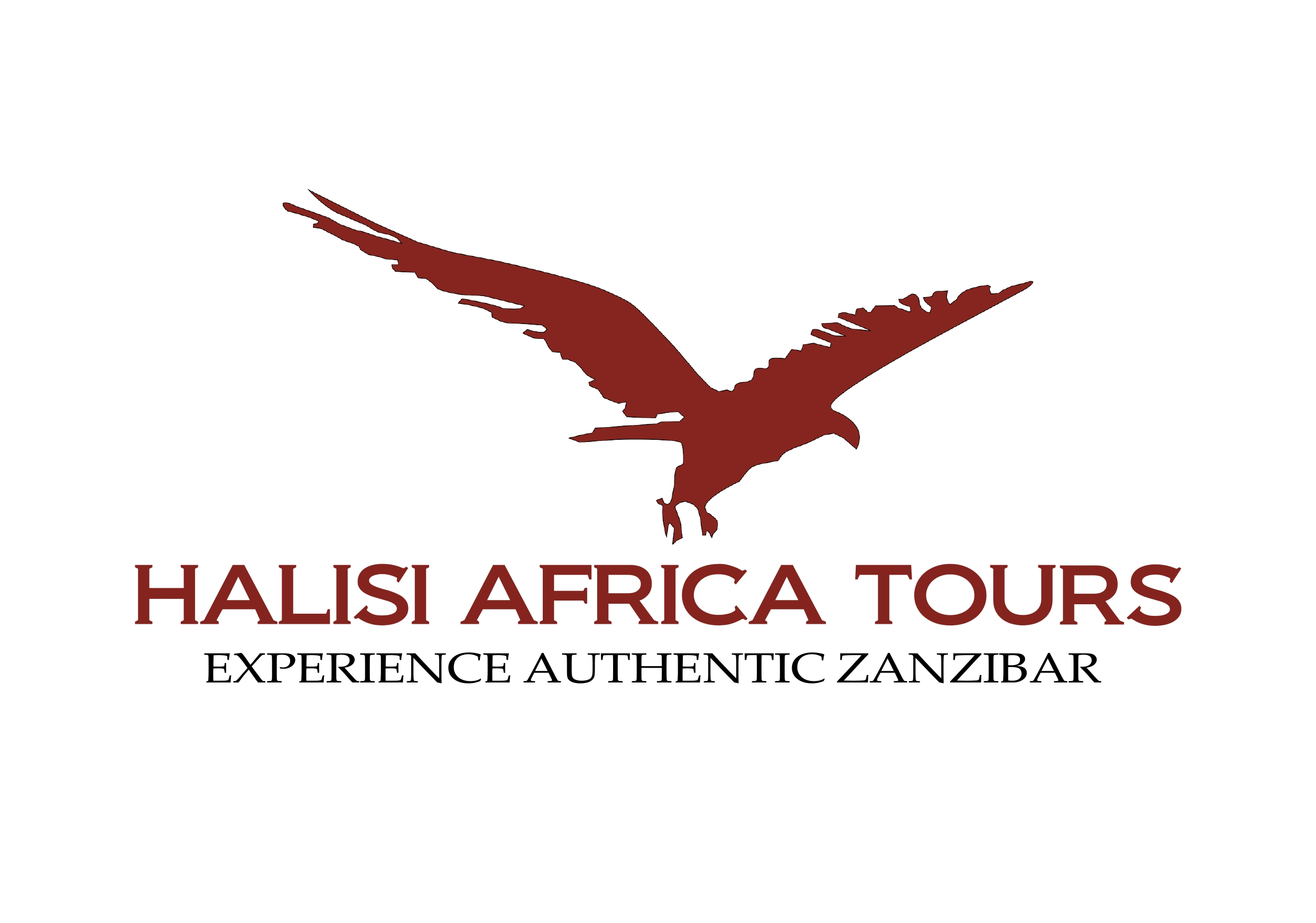 Halisi Africa Tours logo