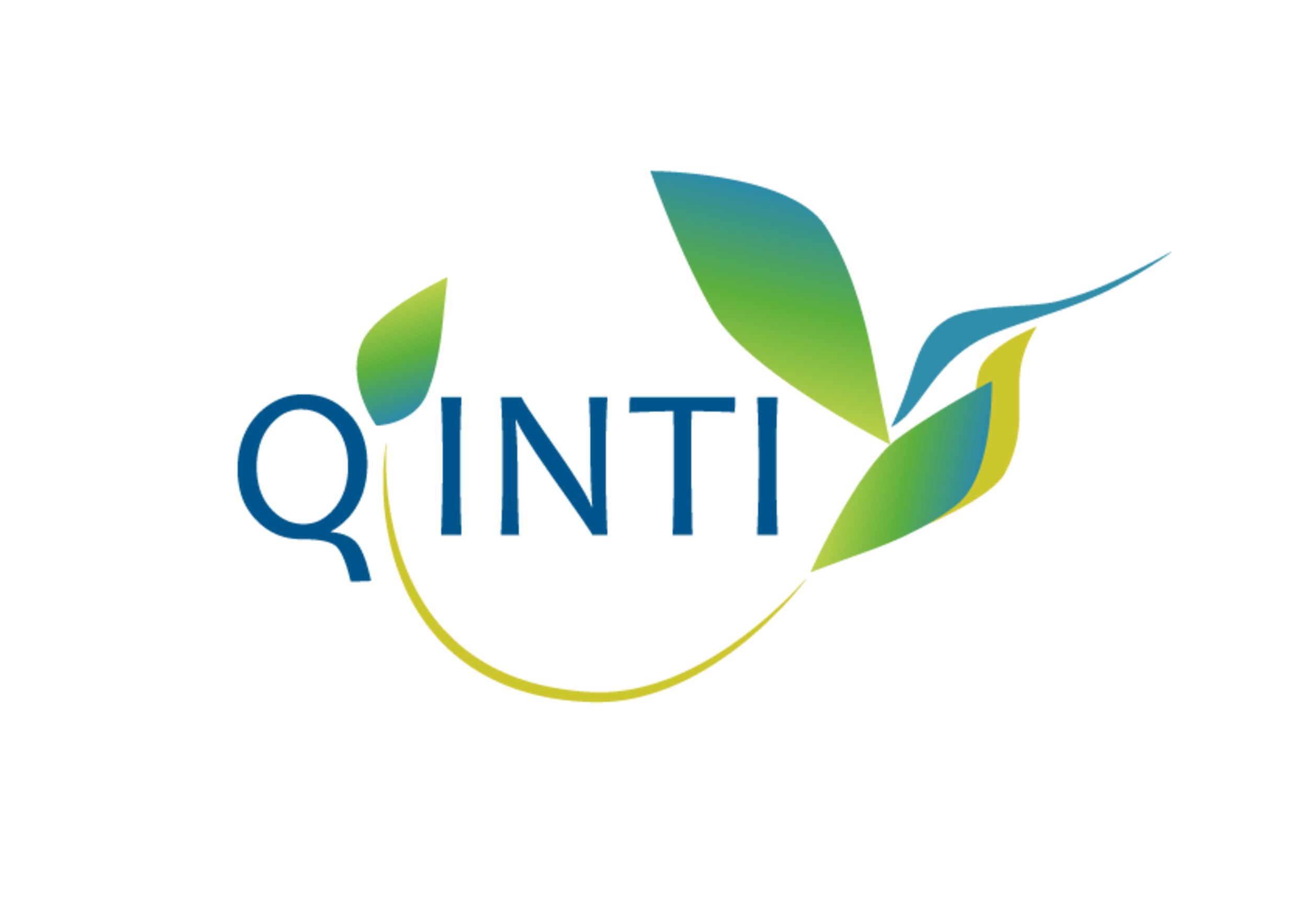 Qinti logo