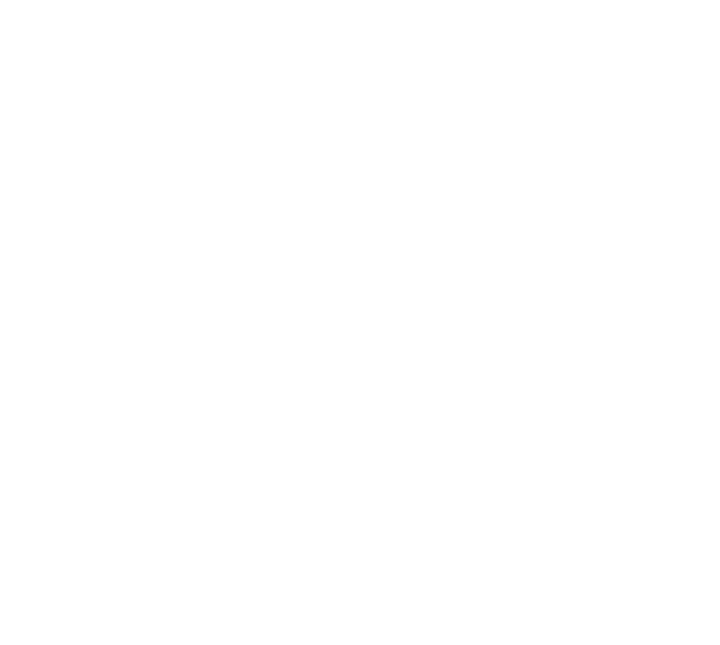 Starry Starry Nights (PTY) Ltd  logo