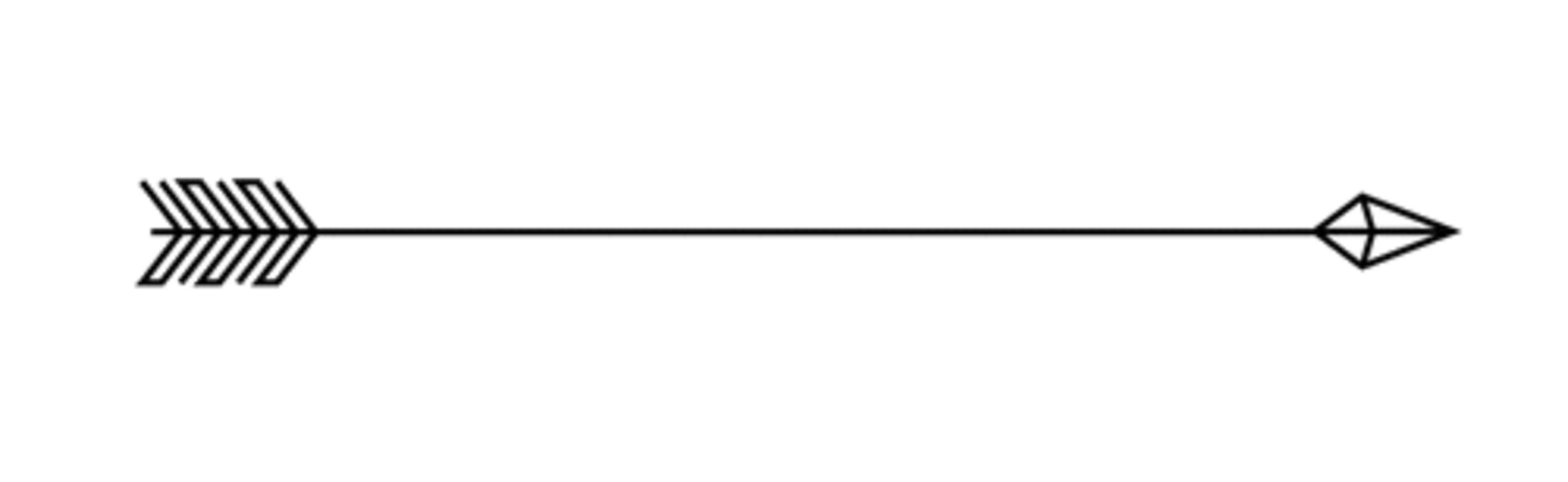Robertson Tours logo
