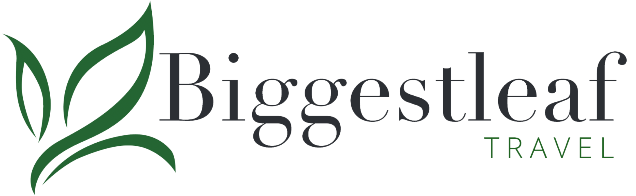 Biggestleaf Travel logo
