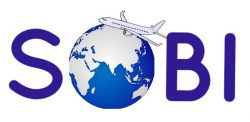 Sobi Consulting logo