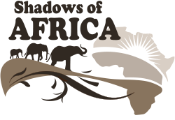shadows of africa  logo