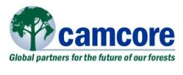 Camcore logo