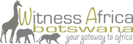 Witness Africa Botswana logo