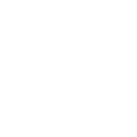 Travel Local  logo